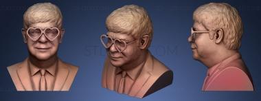 3D model Elton John (STL)